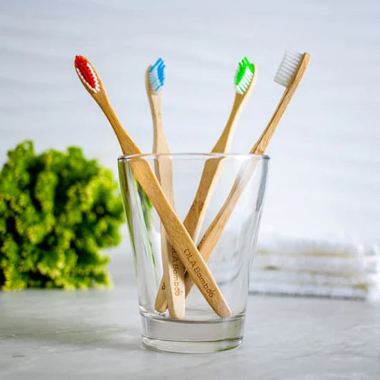 Brosses à Dents - Quatre Brosses