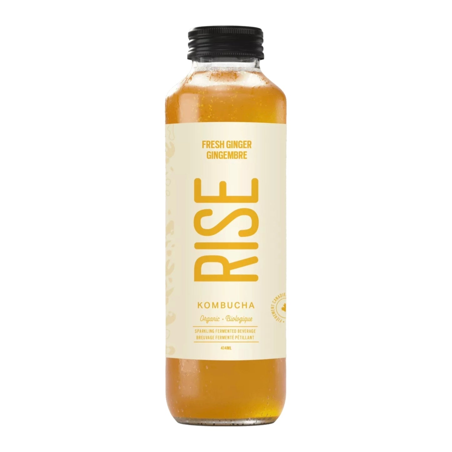 Kombucha gingembre