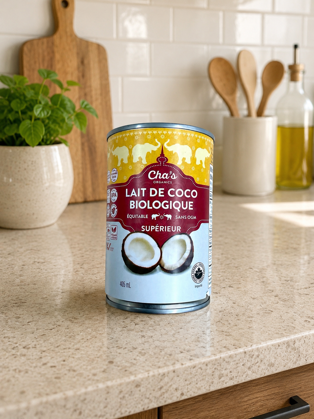 Lait de Coco Biologique